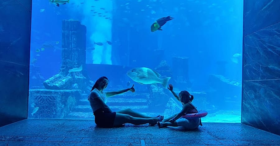 Explore DubaiâS Lost Chambers Aquarium: Tickets For One
